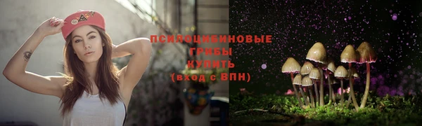 а пвп мука Армянск
