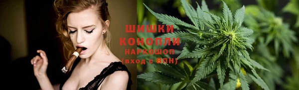 гашик Аркадак