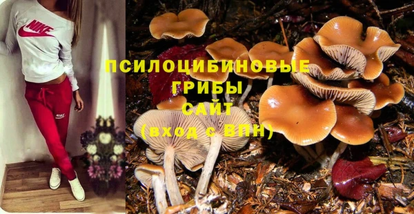 a pvp Пересвет