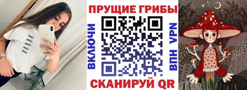 shop какой сайт  Краснослободск  Галлюциногенные грибы ЛСД 